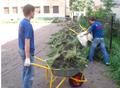 Услуги грузчиков и разнорабочих в Костанае